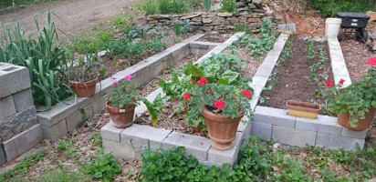 A beautiful and practical organic garden