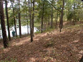 Looking southwest toward the lake